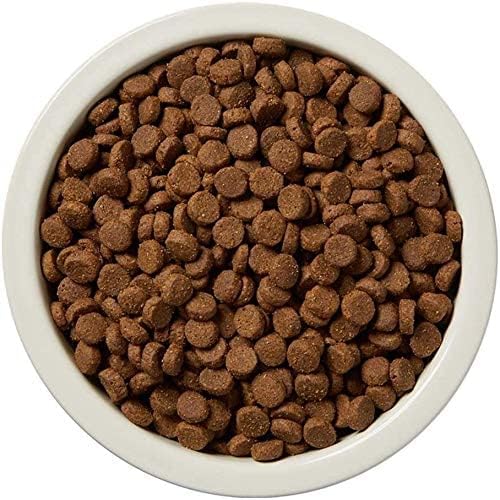 grain and chicken free dog food