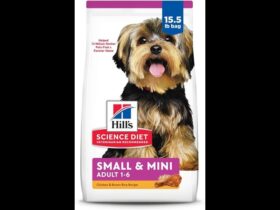 Dog Food Small Breed Essentials