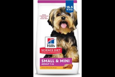 Dog Food Small Breed Essentials