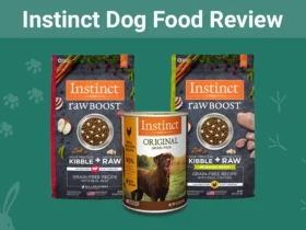 Instinct Dog Food Puppy