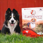 Popular Low in Fat Dog Food