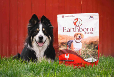 Popular Low in Fat Dog Food