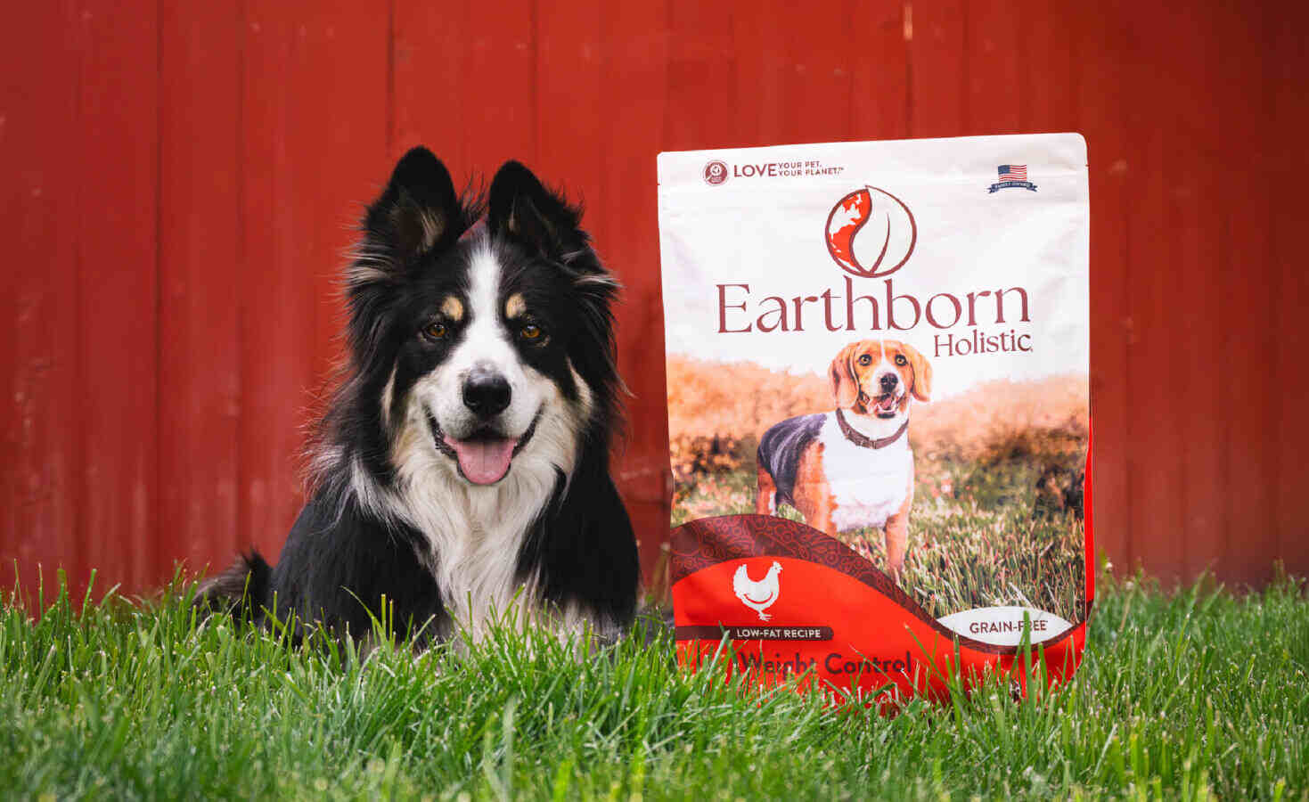 Popular Low in Fat Dog Food