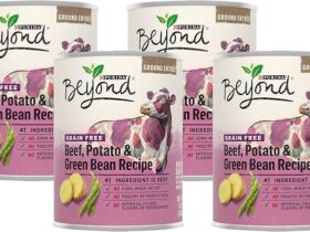 Purina Beyond dog food