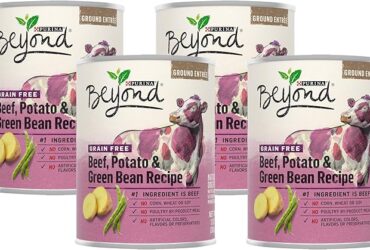 Purina Beyond dog food