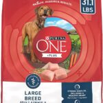 Purina one is a one of the best dog food