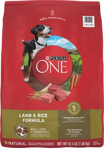 Purina One Plus Large Breed Adult Dog Food Dry Formula