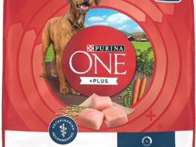 Purina one is a one of the best dog food