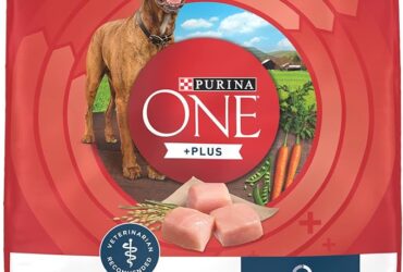 Purina one is a one of the best dog food