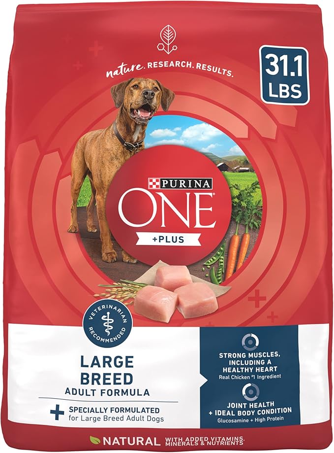 Purina one is a one of the best dog food