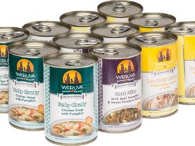 Weruva Canned Dog Food